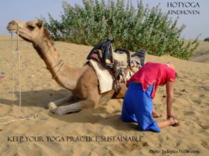 Sustainable Yoga Practice