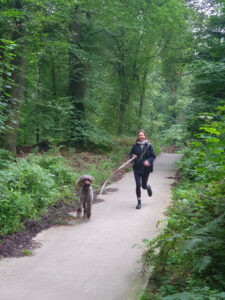 Buitenplaat Beekhuizen - dog-friendly retreats.