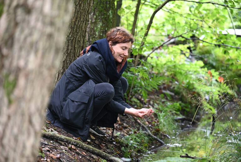 Forest bathing in a nutshell