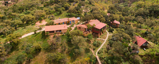 Cork Farm, Algarve, Portucal